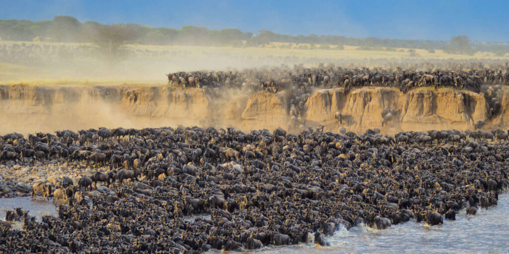 Tanzania Best Time
