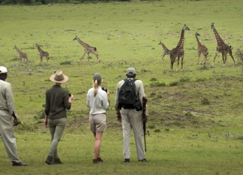 Tanzania Walking Safaris