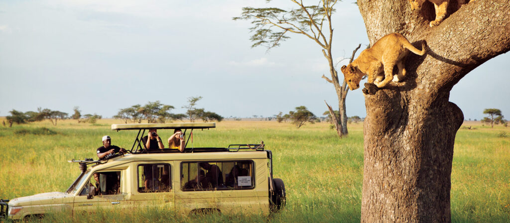 Preparation Before Tanzania Safari